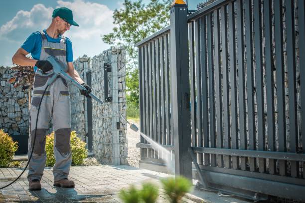 Best Gutter Cleaning  in Lone Tree, CO